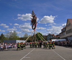 maibaum 300423