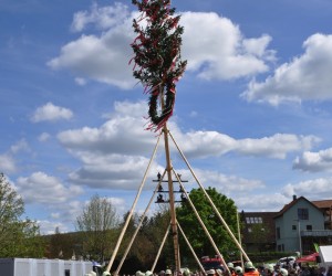 maibaum 300423