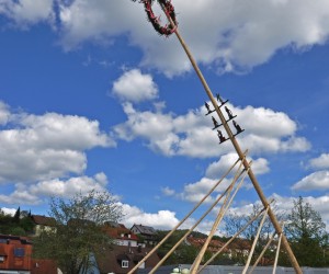 maibaum 300423