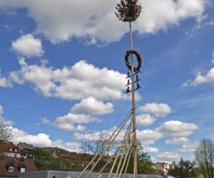 maibaum 300423