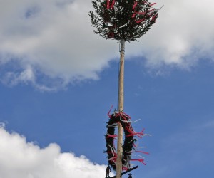 maibaum 300423