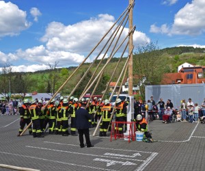 maibaum 300423