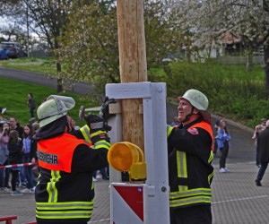 maibaum 300423