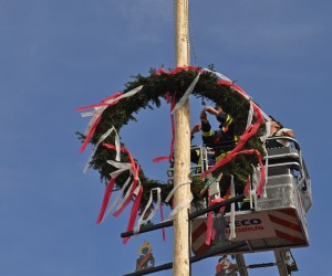 maibaum 300423