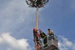 maibaum 300423