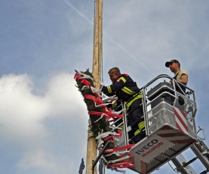 maibaum 300423