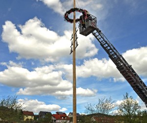 maibaum 300423