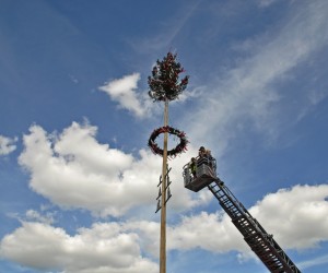 maibaum 300423